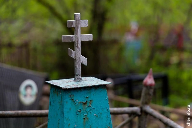 Источник: st.cherinfo.ru