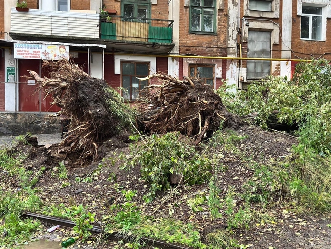 Поваленные деревья лежали во дворах, на улицах и проезжей части | Источник: Инцидент | Златоуст / Vk.com