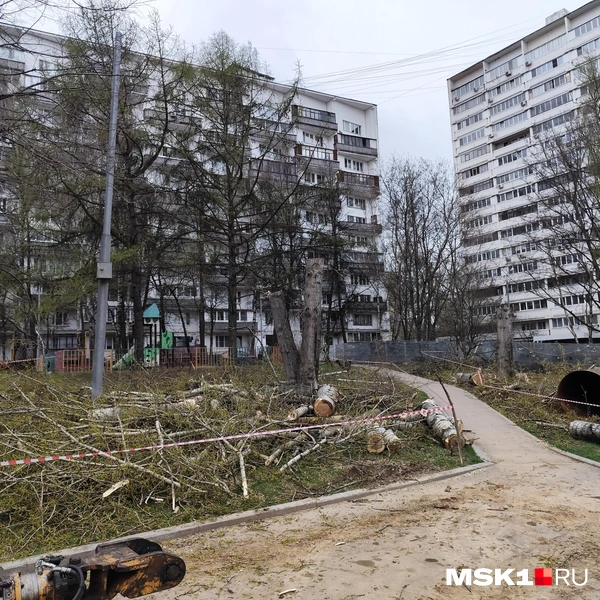 Снова вырубленные деревья на Липецкой улице вблизи стройплощадки одноименной станции метро | Источник: Игорь Мещанев / MSK1.RU