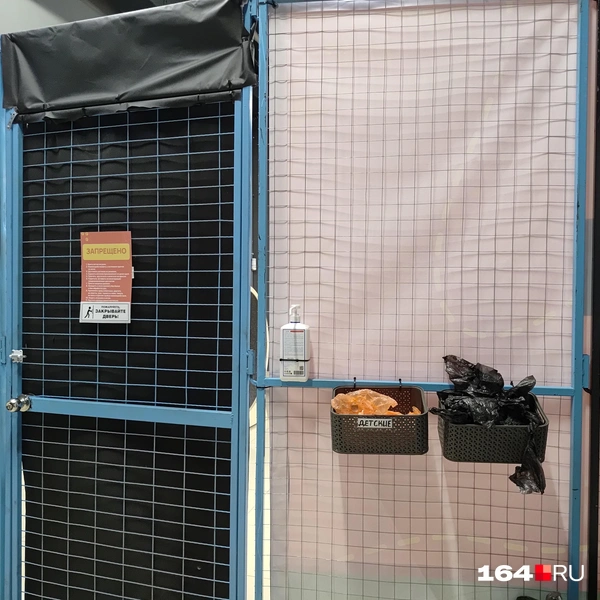 Источник: Сергей Гендин / 164.RU