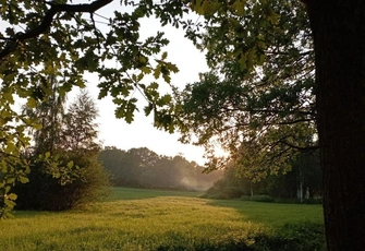 Не расслабляйтесь: осенние обозлившиеся клещи нападают на любителей природы