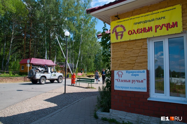А как вы предпочитаете добираться до"Оленьих ручьев»? | Источник: Артём Устюжанин / E1.RU