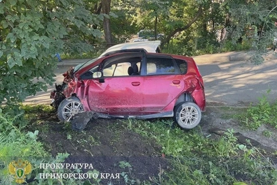 Виновник смертельного ДТП в Приморье отправлен в СИЗО