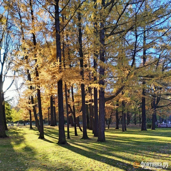 Источник: читатель «Фонтанки»