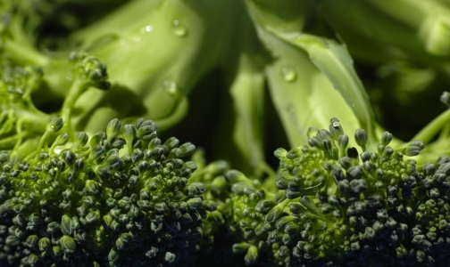 Эксперты выяснили, много ли витамина С в замороженной брокколи