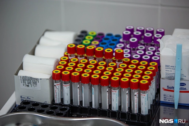 Назначить анализ на ферритин и интерпретировать его результаты может любой врач | Источник: Александр Ощепков / NGS.RU