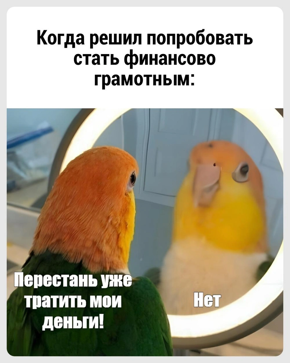 И как его убедить? | Источник: Городские медиа