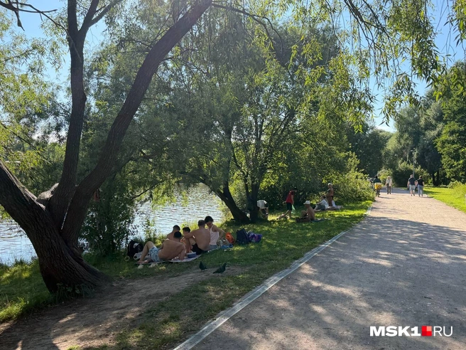 Москвичи устраивают в парке небольшие пикники | Источник: Вера Борисова / MSK1.RU