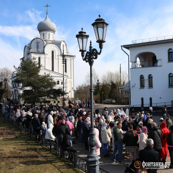 Источник: Марина Мамонтова / FONTANKA.RU