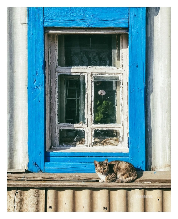 Источник: Юлия Воропаева