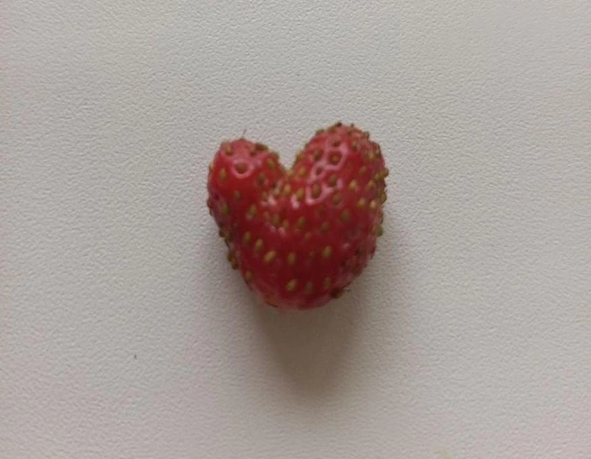 Любви все ягоды покорны, ой, все возрасты же! | Источник: читатель 72.RU