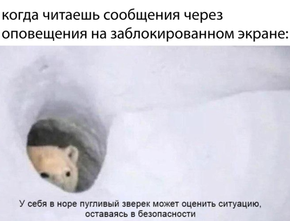 Пару картинок для вас сегодня :-) Пару картинок для вас сегодня :-)