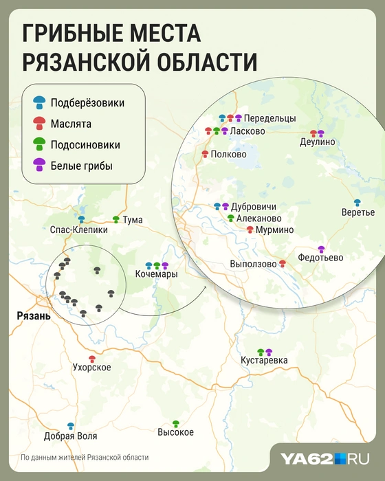 Пройдитесь по этому маршруту за грибами | Источник: Мария Романова / Городские медиа
