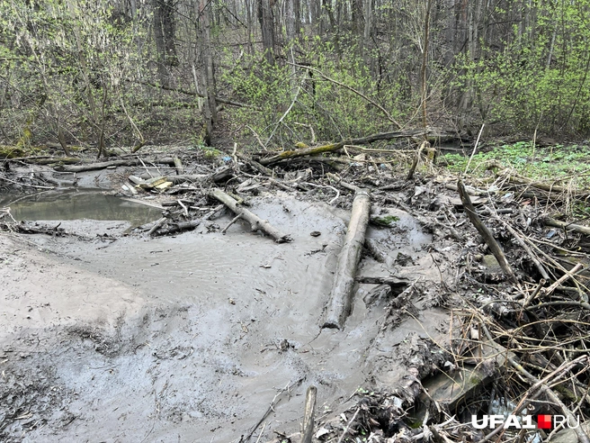 По этому пришлось переходить | Источник: Андрей Бирюков / UFA1.RU
