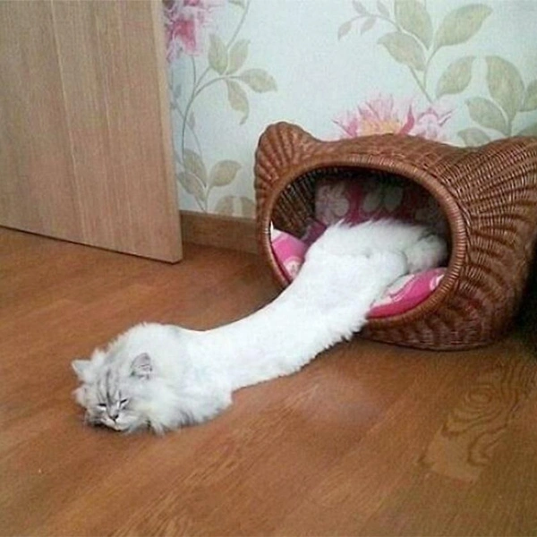 Источник: соцсети