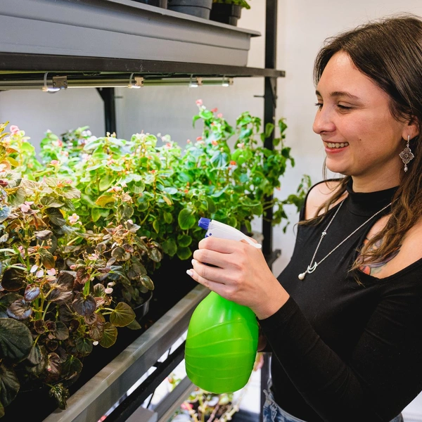 Анна со своей зеленью. Растения важно регулярно увлажнять | Источник: Тимофей Калмаков / 59.RU