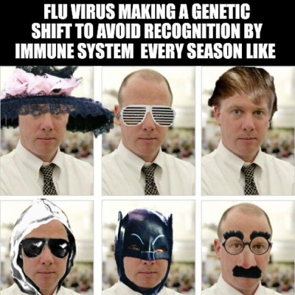 Как вирус гриппа мутирует каждый год, чтобы иммунная система его не распознала | Источник: Соцсети