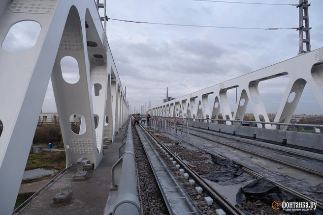 Источник: Сергей Николаев / «Фонтанка.ру»