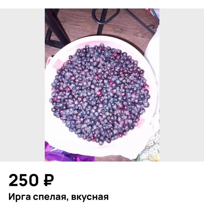 Признавайтесь, слюнки потекли?  | Источник: Avito.ru