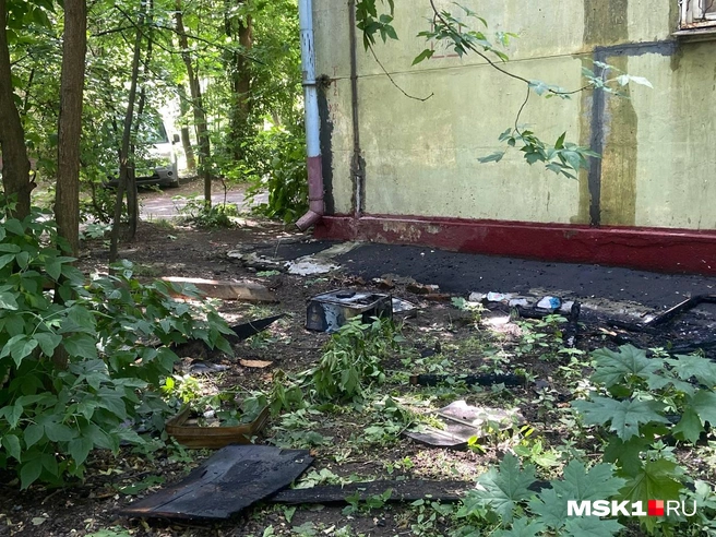 Источник: Нина Иванова / MSK1.RU