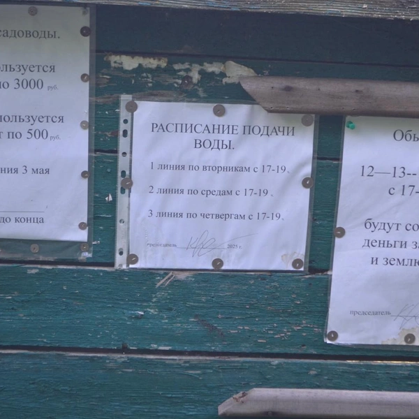 А кто-то тратит деньги на полив огородов водой из ручья Старый Келец | Источник: Светлана Коновалова / YA62.RU