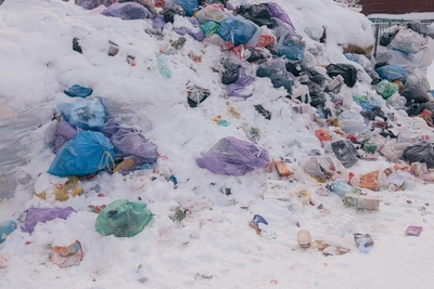 Мусорный полигон под Архангельском: власти о заполнении