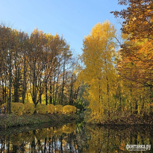 Источник: читательница «Фонтанки» Елена