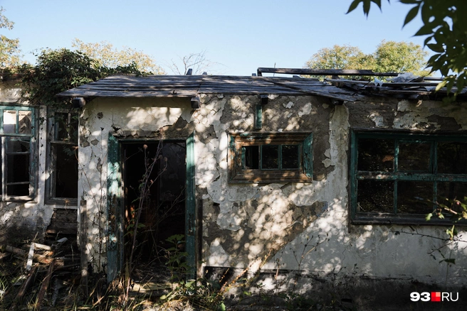 Раньше здесь жили люди, а теперь вьют гнезда лесные птицы | Источник: Дарья Паращенко / 93.RU