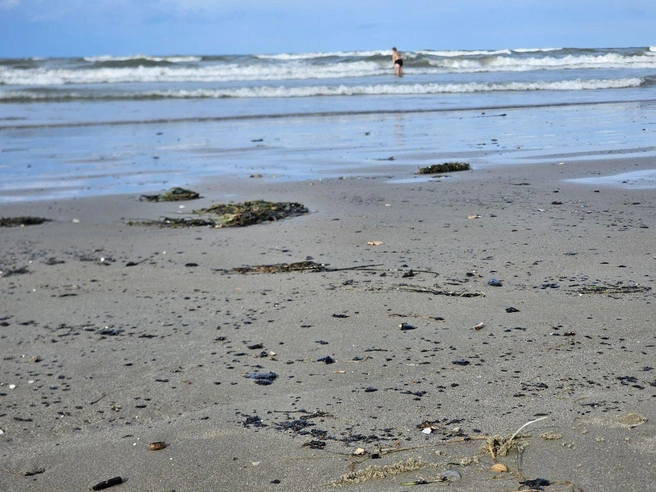 Берег снова в мазуте | Источник: MoreOz / T.me