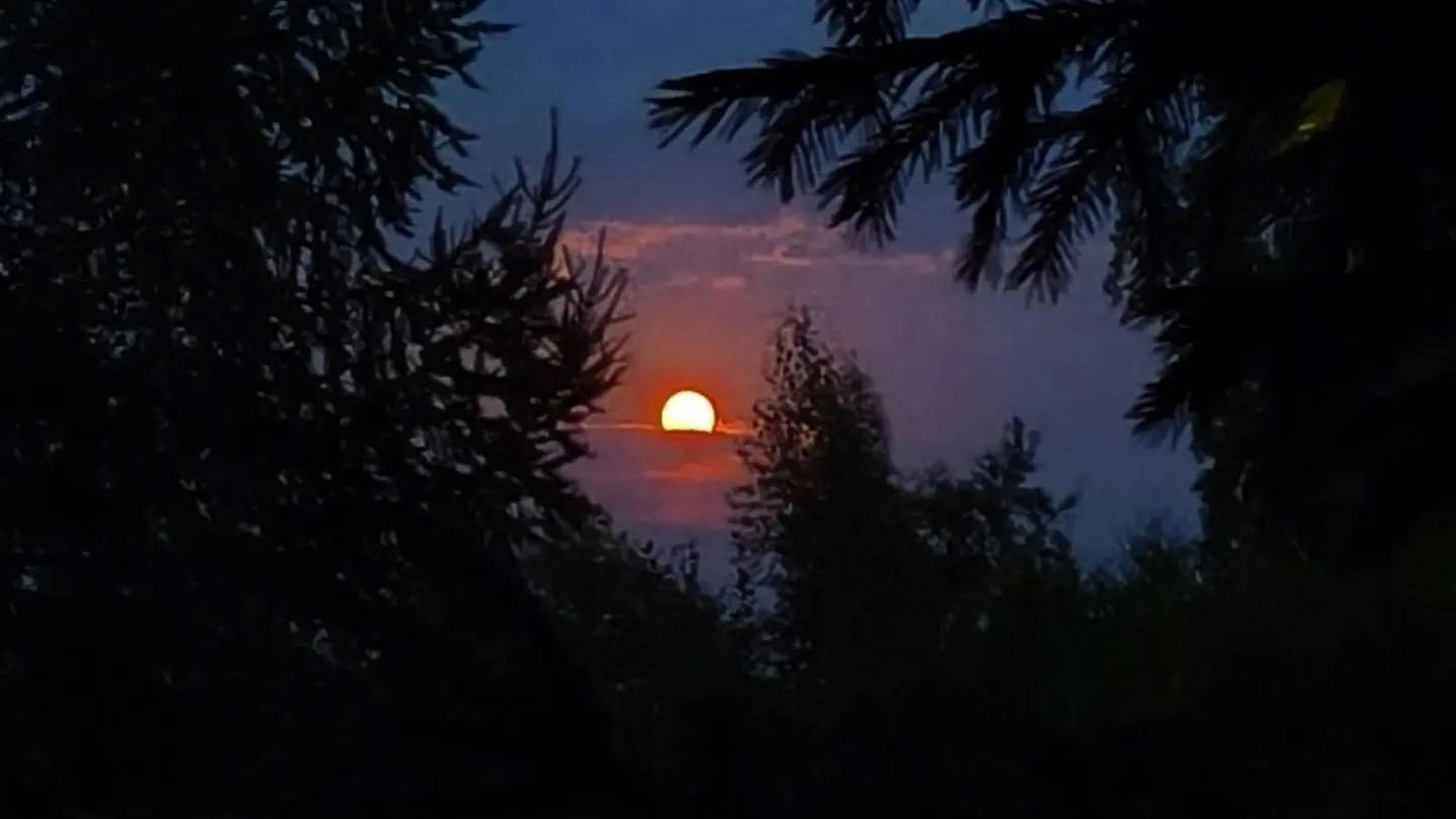 Над Челябинском взошла оленья луна (фото)