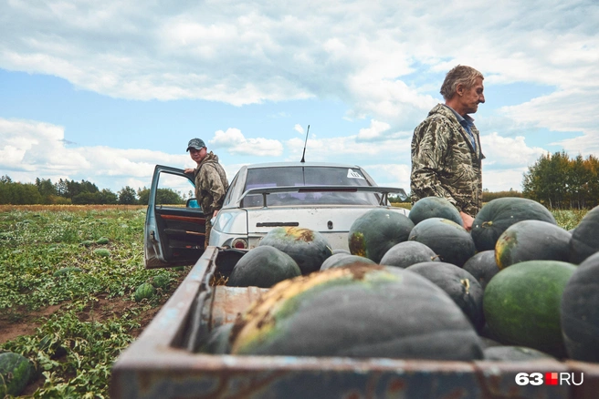 Арбузы едут к торговой точке | Источник: Роман Данилкин / 63.RU