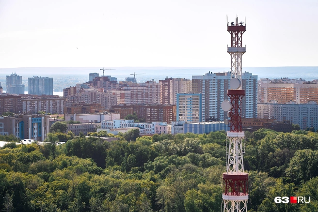 Они утопают в зелени Ботанического сада | Источник: Роман Данилкин / 63.RU