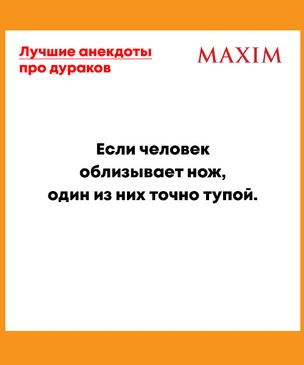 Лучшие анекдоты про дураков