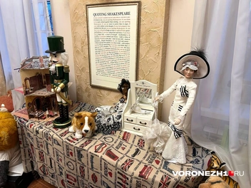 Музей не ограничивается только мишками | Источник: Мария Мишукова / Voronezh1.ru
