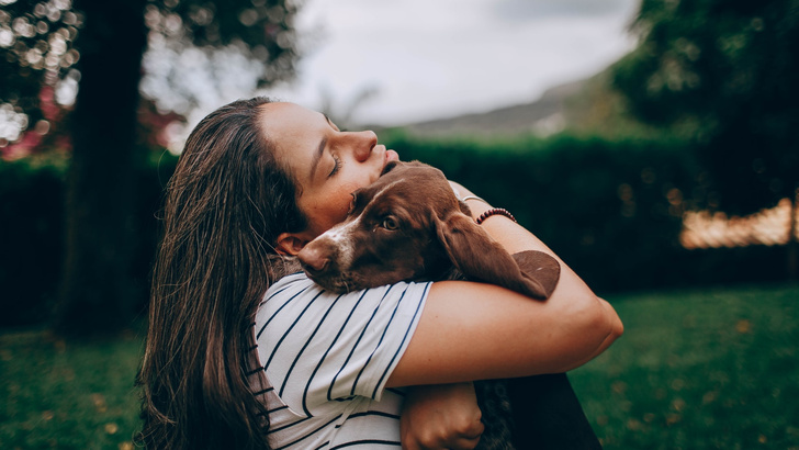 5 рекомендаций от зоопсихолога о том, как пережить трудные времена с собакой