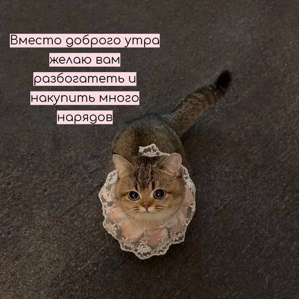 Источник: Социальные сети