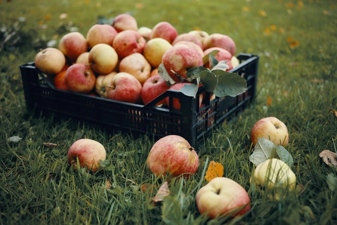 Источник: Ru.freepik.com
