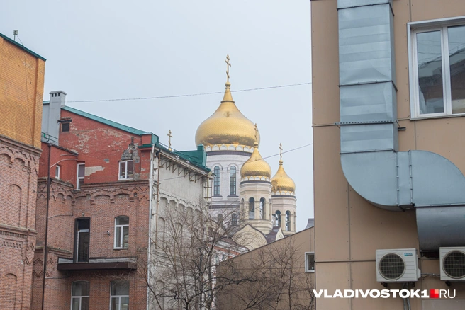 Некоторое имущество он делил с соучастниками | Источник: Елена Буйвол / VLADIVOSTOK1.RU