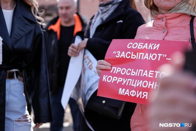 Источник: Варвара Фролова / NGS70.RU
