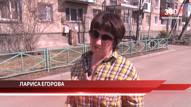 Историю Муси телевизионщикам рассказала ангарская зоозащитница Лариса Егорова | Источник: «360 Ангарск» / Rutube.ru