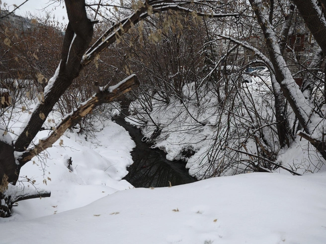 Течение воды под дорожным полотном в направлении улицы 25 лет Октября | Источник: Александр Ощепков / NGS.RU