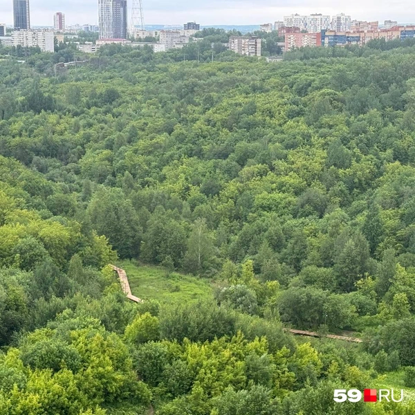 И со стороны общих балконов, которые расположены только с обратной стороны дома | Источник: читатель 59.RU