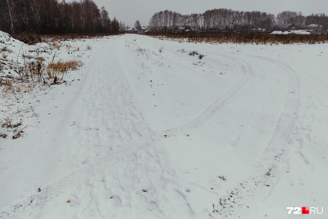 Следы шин отчетливо видны на снегу | Источник: Ирина Шарова / 72.RU