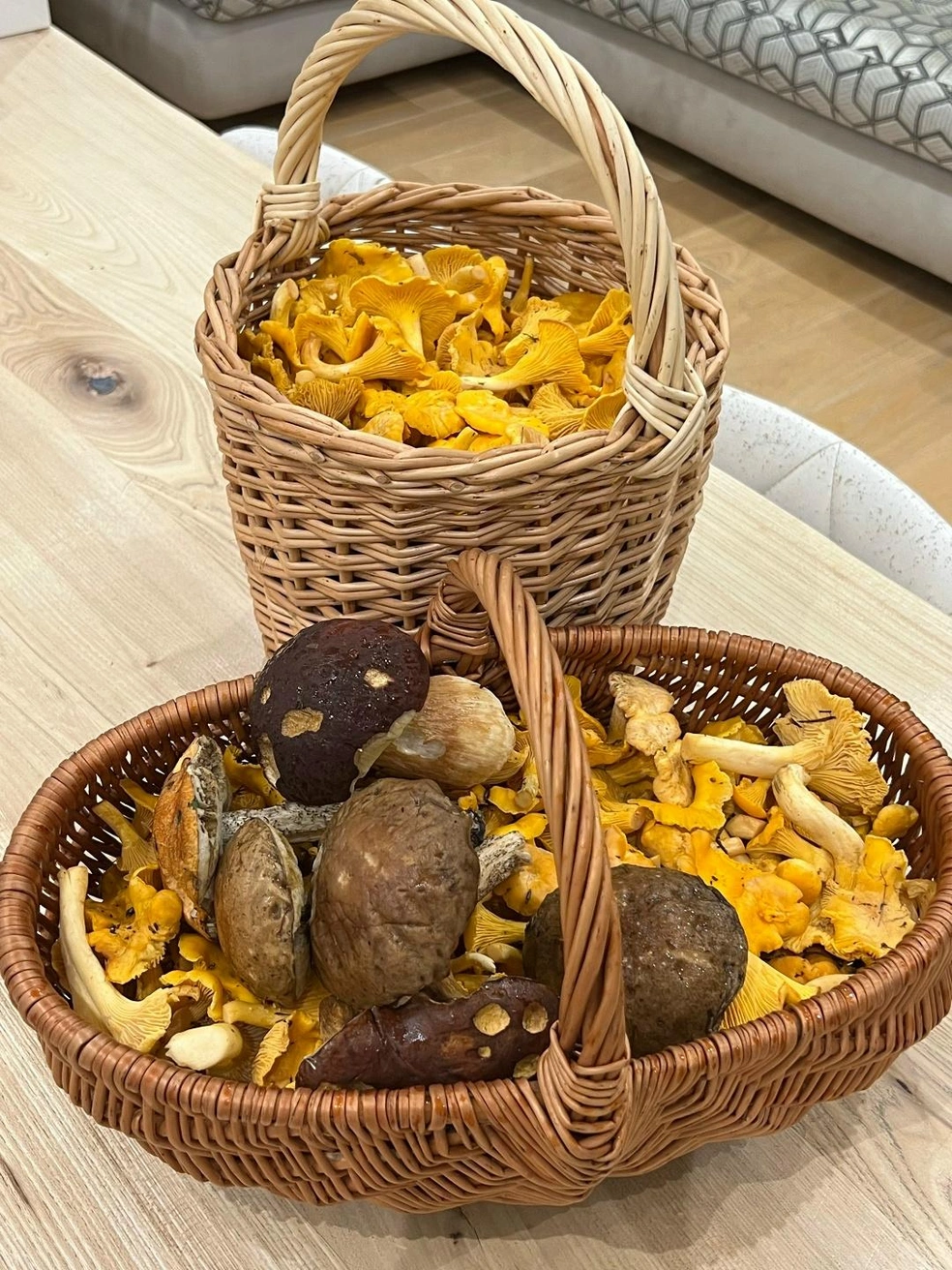 Урожай лисичек отлично подойдет для жарки, тушения и салатов | Источник: Грибы и Грибники Подмосковья / Vk.com