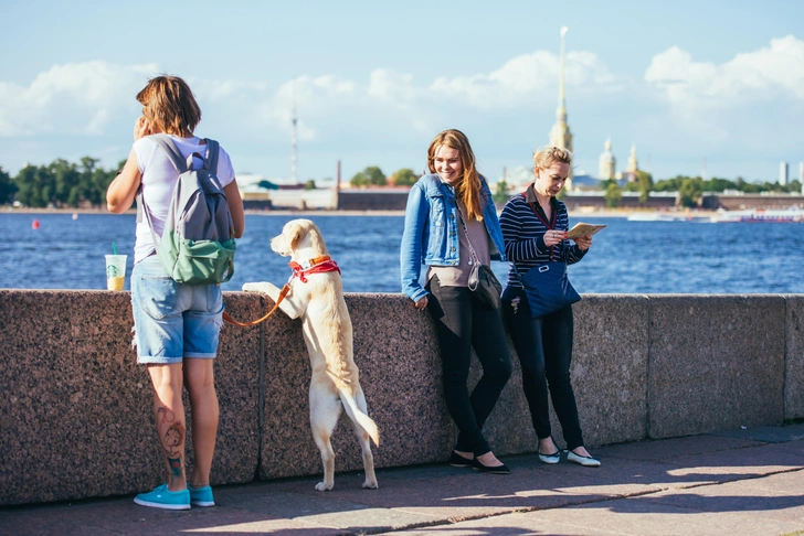 Нашли самый дешевый хостел в Питере на новогодних. У него рейтинг 1*, и вот что пишут постояльцы | Источник: fornStudio/Shutterstock/Fotodom.ru