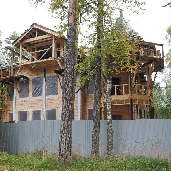 Загородный дом Л. А. Змигродского | Источник: Михаил Огнев/ Fontanka.ru