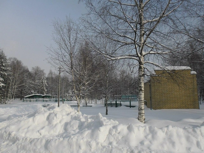 Поиски пропавших затрудняла погода. В первые дни после их побега в городе начались сильные морозы и прошел снегопад | Источник: ПСО «Волонтер» / Vk.com