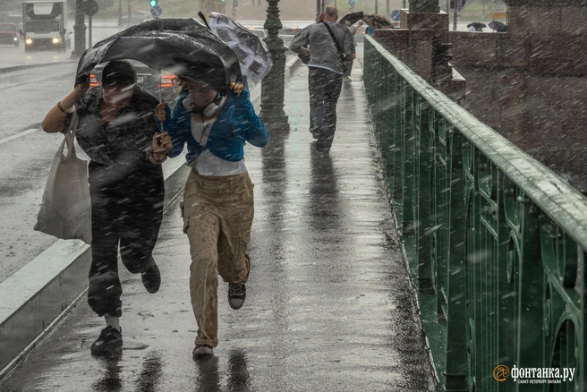 Приятного чтения! | Источник: Михаил Огнев / FONTANKA.RU