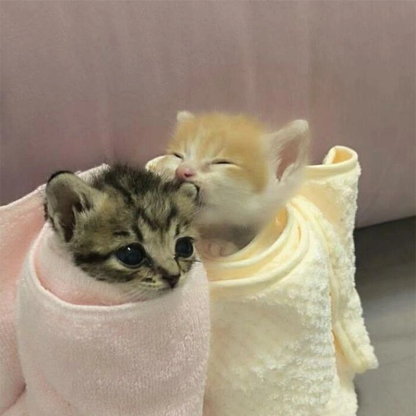 Источник: соцсети