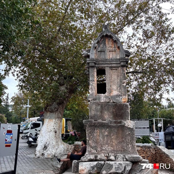 Источник: Наталия Колмогорова